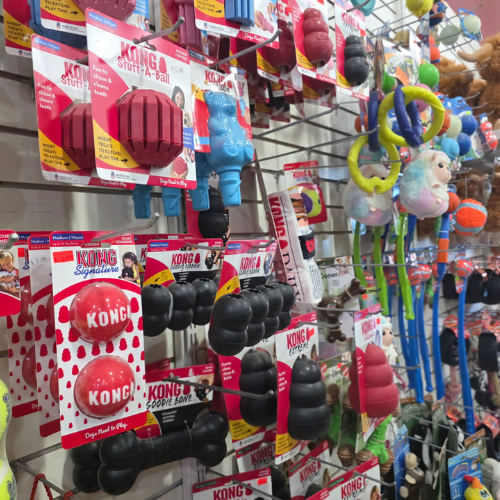 A pet store display featuring a variety of colorful Kong dog toys in red, black, and blue. Shelves are filled, creating a playful, vibrant atmosphere.