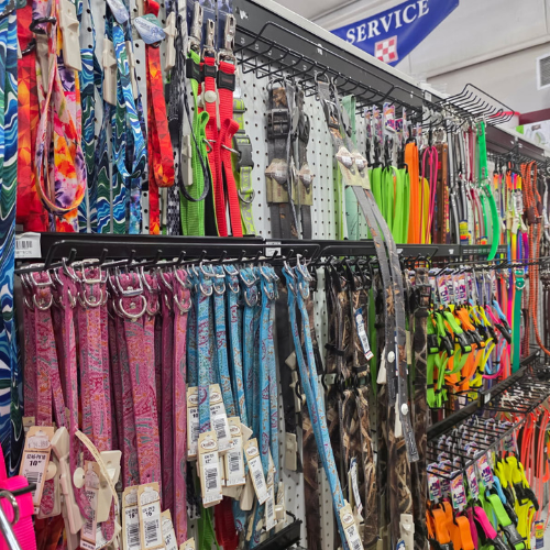 A store display features a wide variety of colorful dog leashes and collars. Patterns include camo, neon, and abstract designs, creating a vibrant atmosphere.