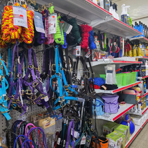 Shelves in a store displaying colorful dog leashes, collars, and harnesses on the left. On the right, pet supplies include brushes, sprays, and containers.