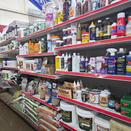 Shelves stocked with pet supplies, including bottles, sprays, and containers of various brands and sizes. Bags of pet food are stacked below. The scene is colorful and bustling, conveying a sense of abundance.