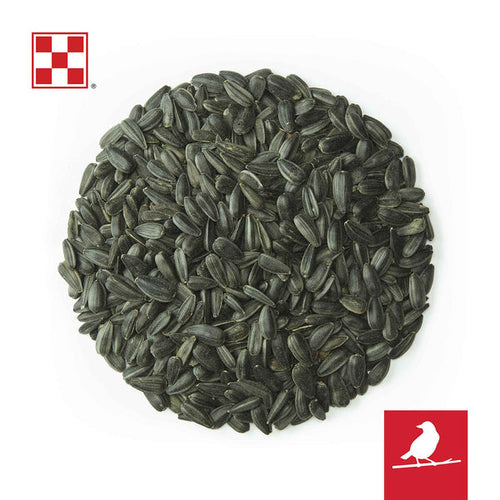 Purina® Black Oil Sunflower Wild Bird Seeds
