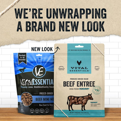 Vital Essentials Freeze-Dried Raw Protein Beef Crunchy Mini Nibs Meal or Mixer Dog Food