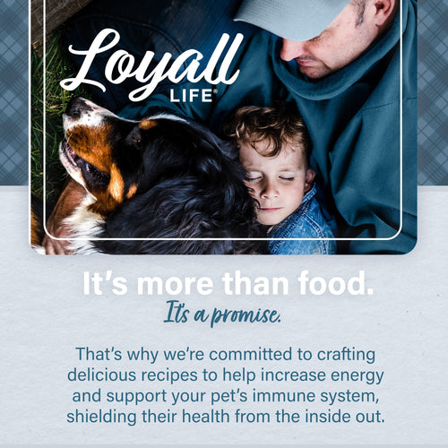 Nutrena® Loyall Life® Puppy Chicken & Brown Rice Recipe Dog Food