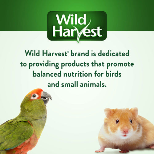 Wild Harvest Bake Shop Pastry Swirls