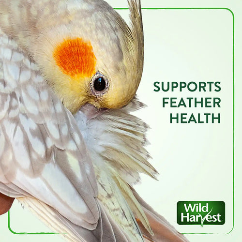 WILD HARVEST Tropical Granola Crunch Bars Bird Treats