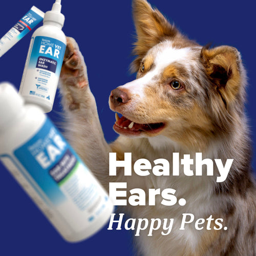 TropiClean HomeVet Ear Mite Treatment