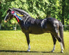 Breyer Nistar Blazing Kansas LOM & GTF Blazing Ethel