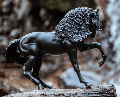 Breyer Sjoerd