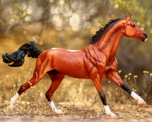 Breyer Adamek Akhal-Teke