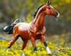 Breyer Adamek Akhal-Teke